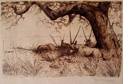 Bild Oryx unter einem Baum von Uli Aschenborn